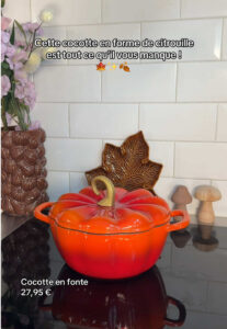 Action Cocotte sola fonte citrouille · Cocotte citrouille : dupes de la Le Creuset (Action, gifi…)