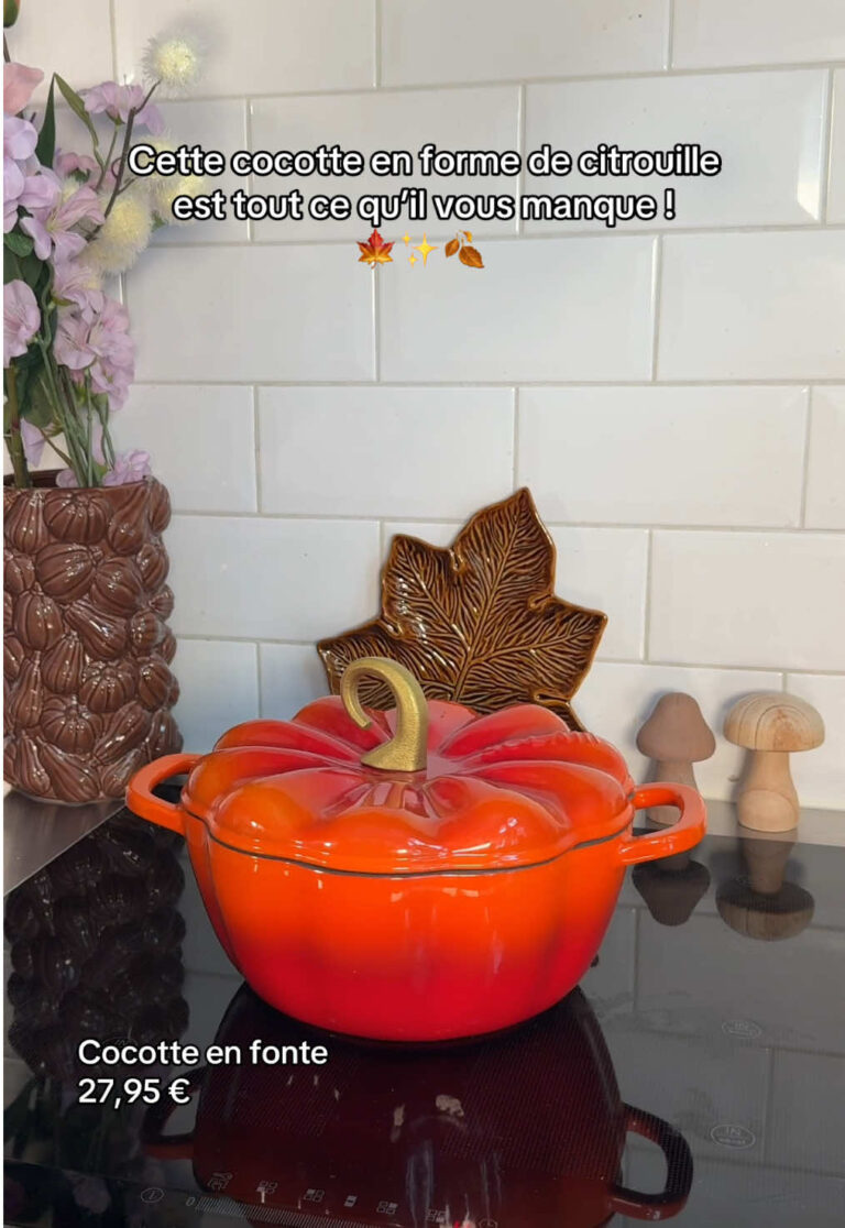 Action Cocotte sola fonte citrouille · Cocotte citrouille : dupes de la Le Creuset (Action, gifi…)